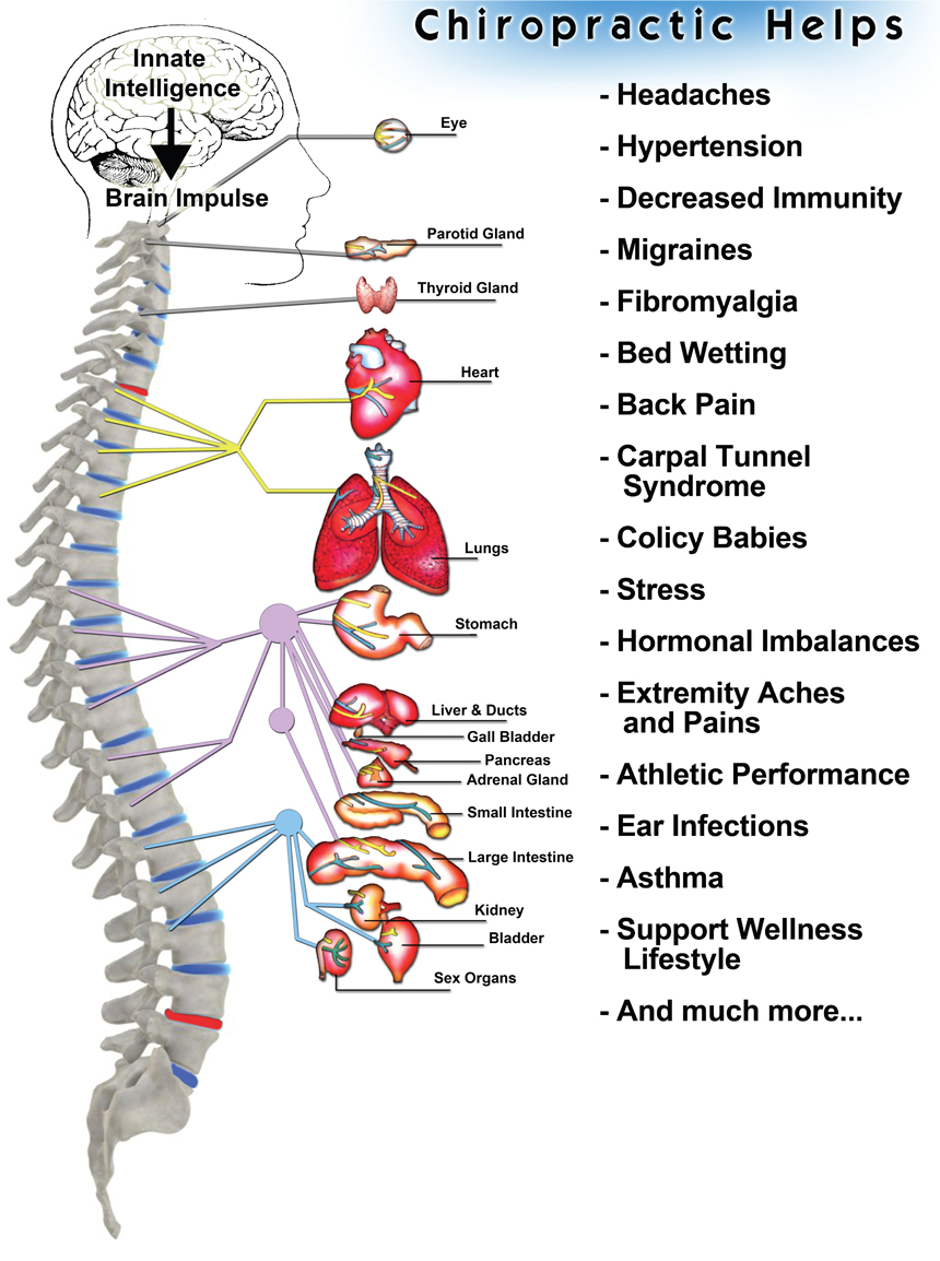 chiropractor meaning